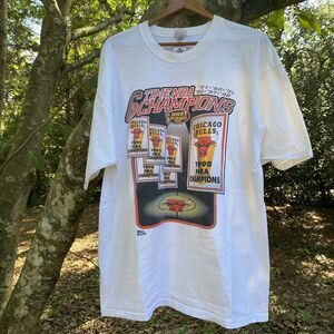 Vintage Chicago Bulls Championship T Shirt Mens XL Fruit of The Loom Pro Player